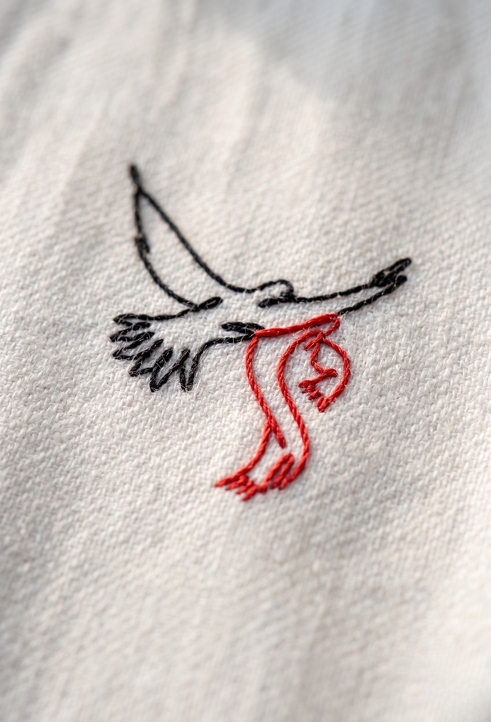 Silent Wings | Embroidered Oversized Shirt – Freedom Edition